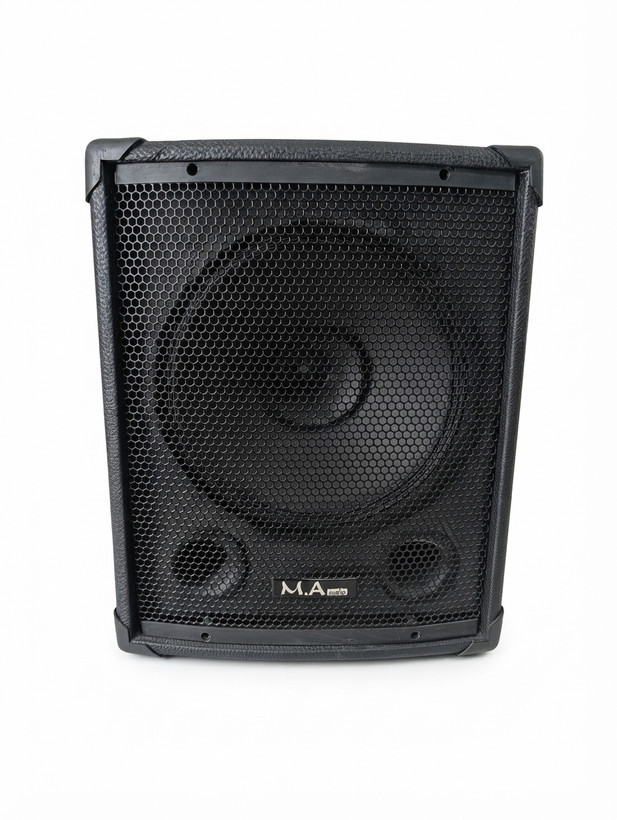 باند پسیو 12 اینچ فول رنج M.A audio (یک جفت) 250 وات